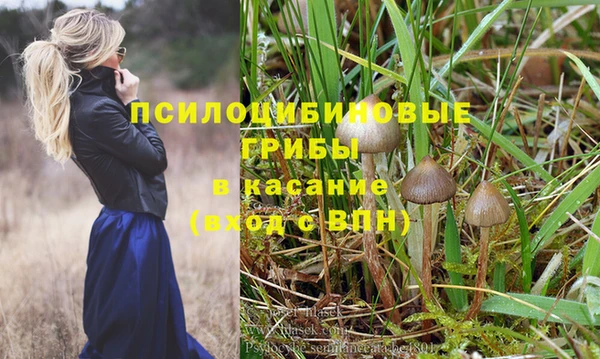 прущая мука Алексин