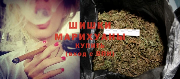 прущие грибы Абдулино
