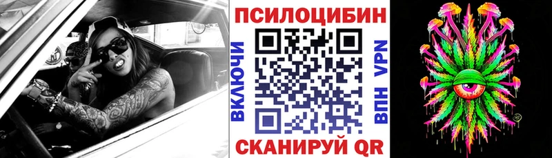 Псилоцибиновые грибы мицелий  Орлов 